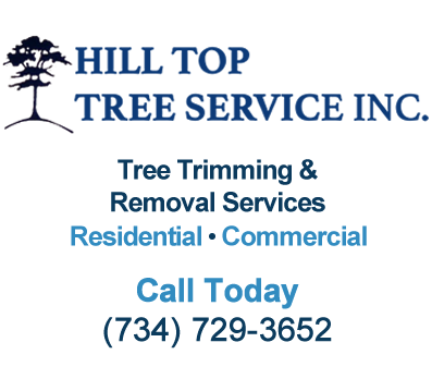 Hill Top Tree Service